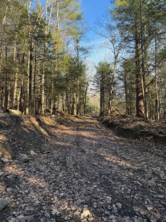 0 Old Chester Road Blandford, MA 01008 - Photo 3 of 7