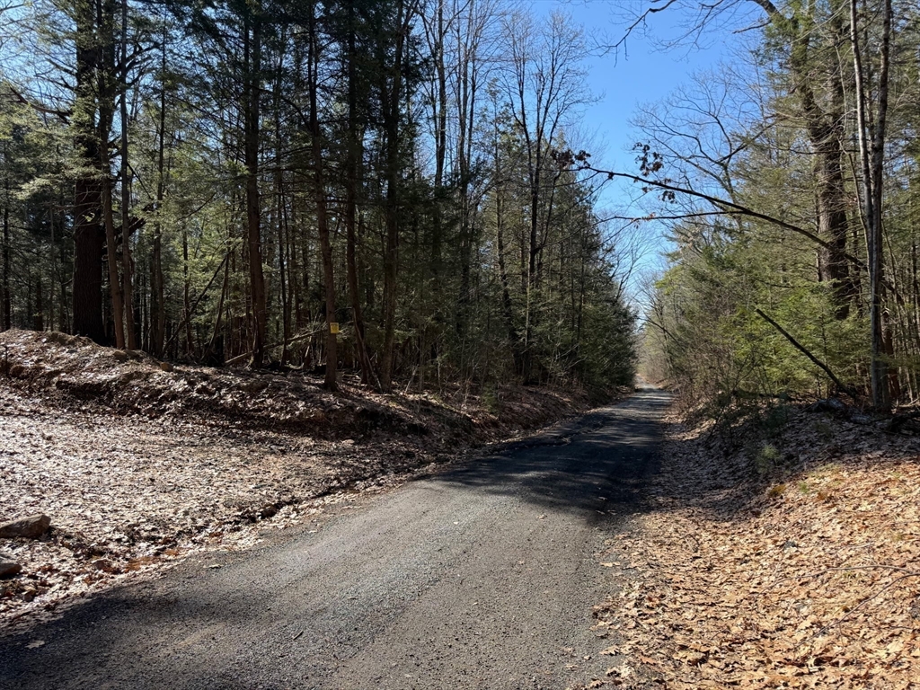 0 Old Chester Road Blandford, MA 01008 - Photo 4 of 7