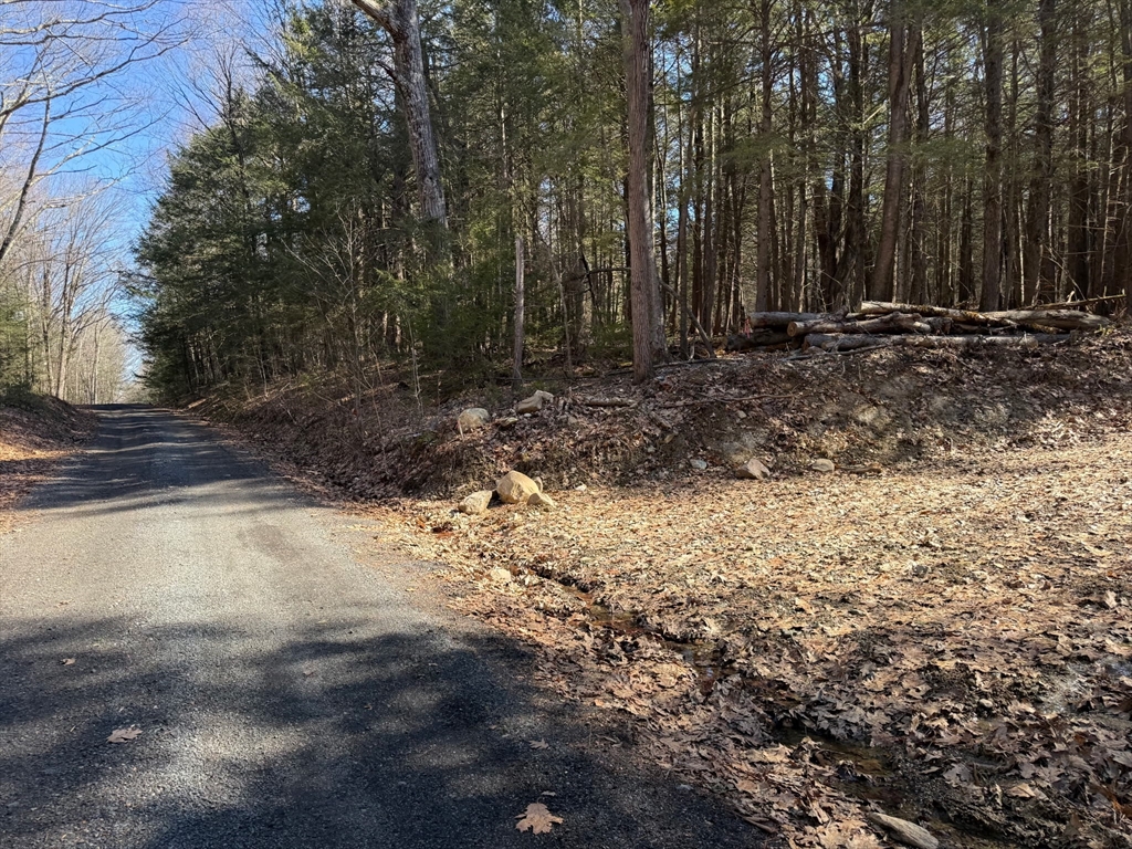 0 Old Chester Road Blandford, MA 01008 - Photo 5 of 7