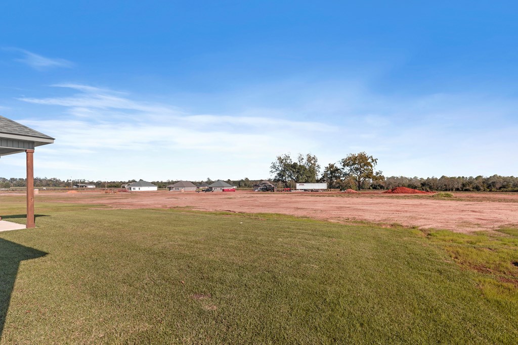 2023 Silcox Road Ashford, AL 36312 - Photo 6 of 30