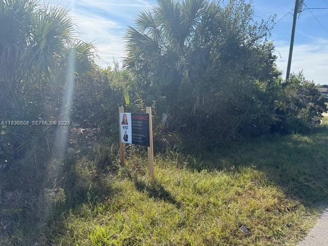 3207 53rd Street West Lehigh Acres, FL 33971 - Photo 3 of 8 a backyard of a house