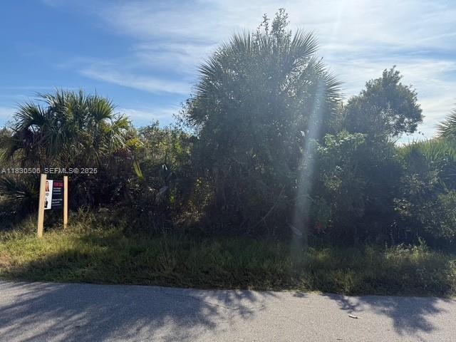 3207 53rd Street West Lehigh Acres, FL 33971 - Photo 4 of 8 a backyard of a house with lots of green space and trees