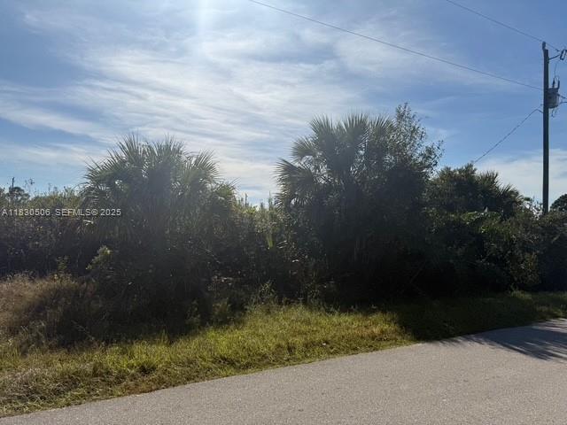 3207 53rd Street West Lehigh Acres, FL 33971 - Photo 5 of 8 a backyard of a house with lots of green space and plants