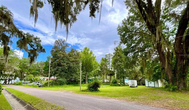 a view of a park with tree s