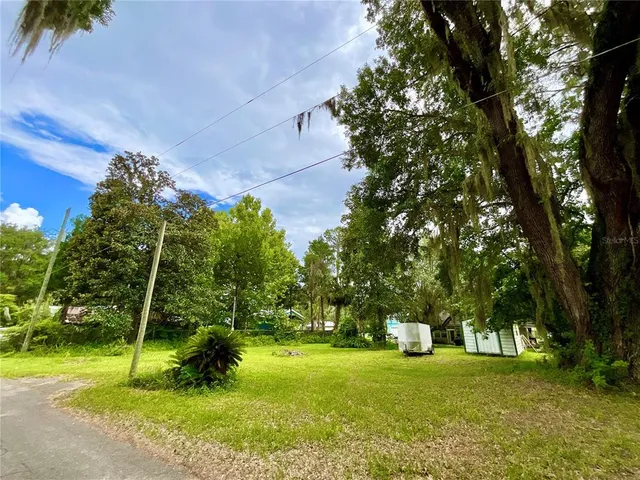a view of a field with a tree
