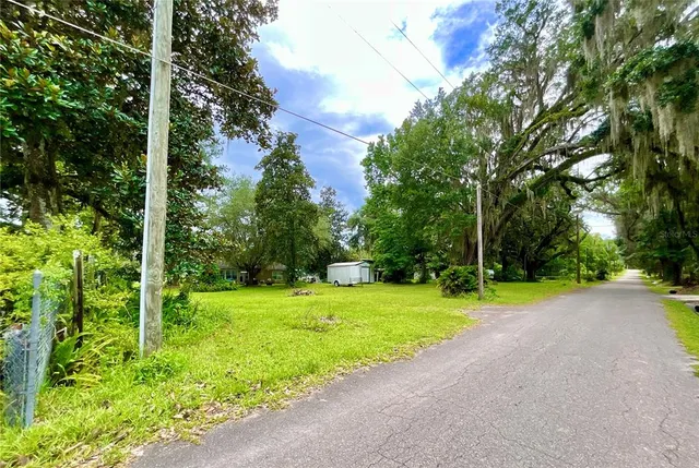 a view of field with tall trees