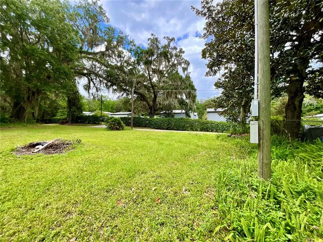 a view of garden with trees