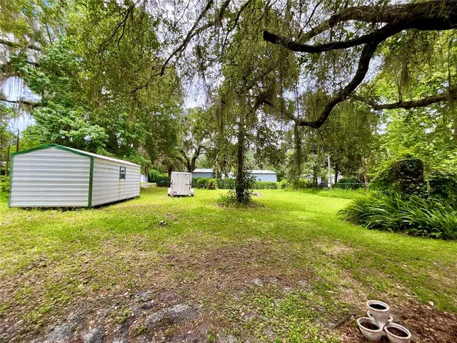a view of a park with plants and trees