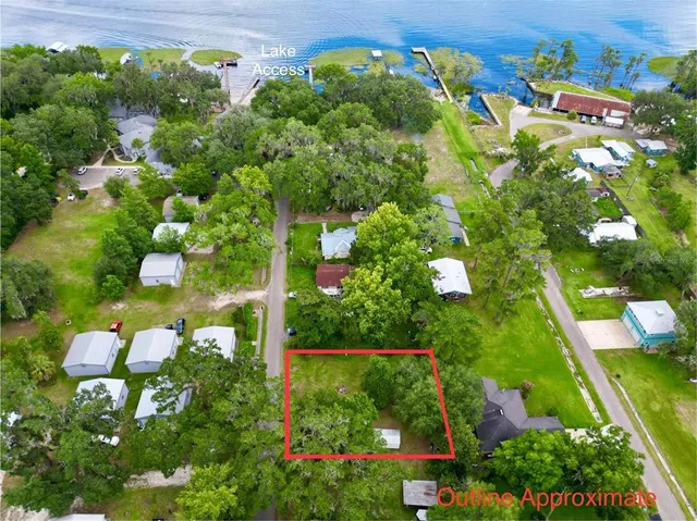 a view of a garden with plants