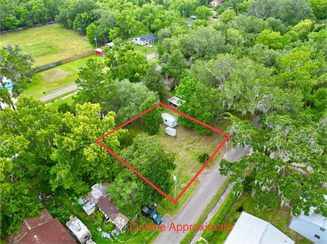 a view of a park with large trees