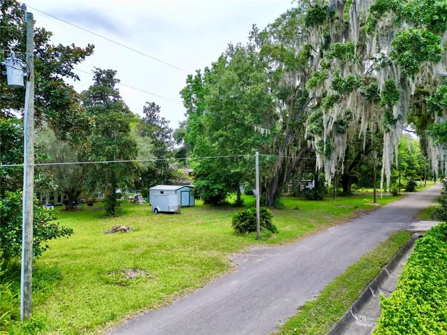 a picture of flowers