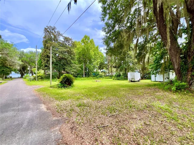 a view of a park with large trees