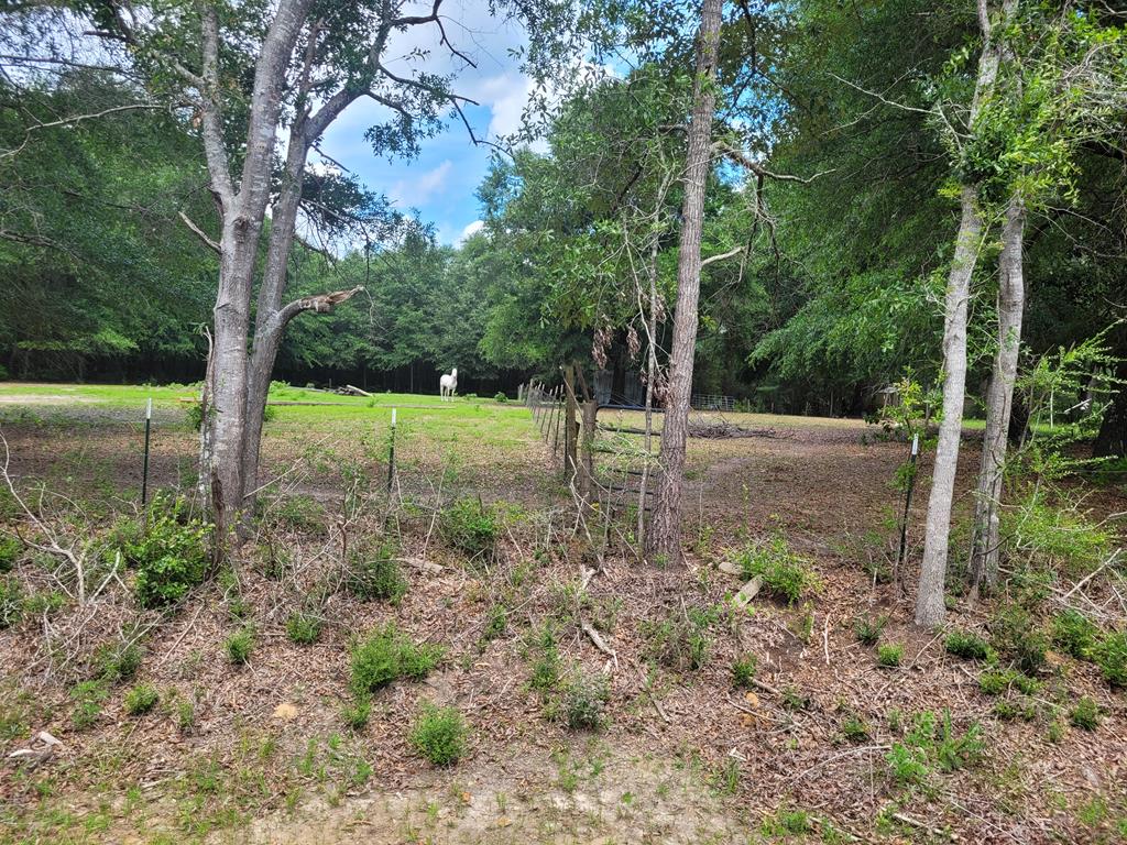 17639 North Creek Road Florala, AL 36442 - Photo 10 of 40