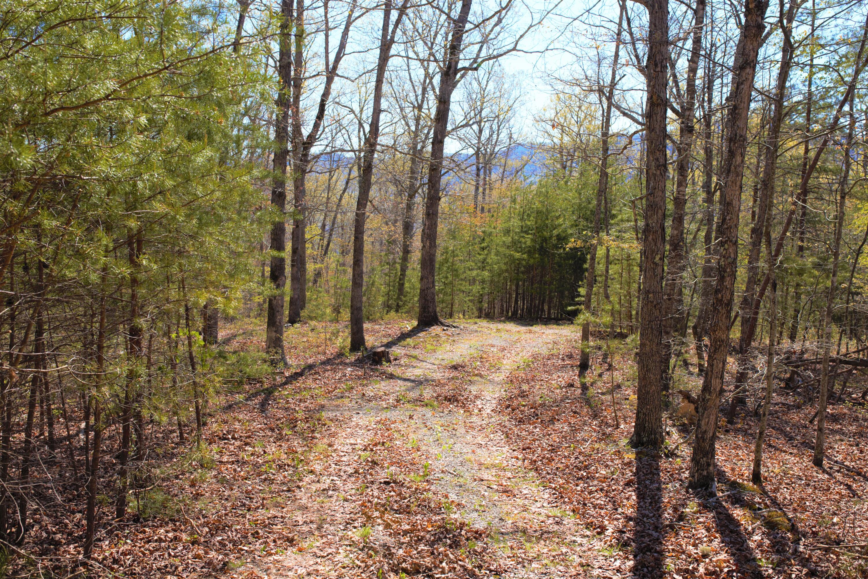4025 Flatwoods Road Elliston, VA 24087 - Photo 1 of 13 a view of a yard with trees