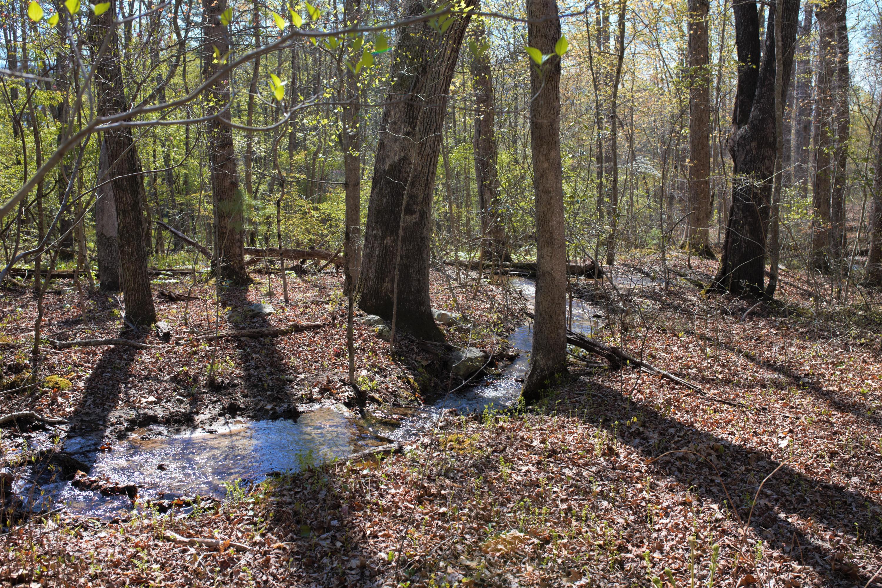 4025 Flatwoods Road Elliston, VA 24087 - Photo 8 of 13 a view of outdoor space and covered with trees