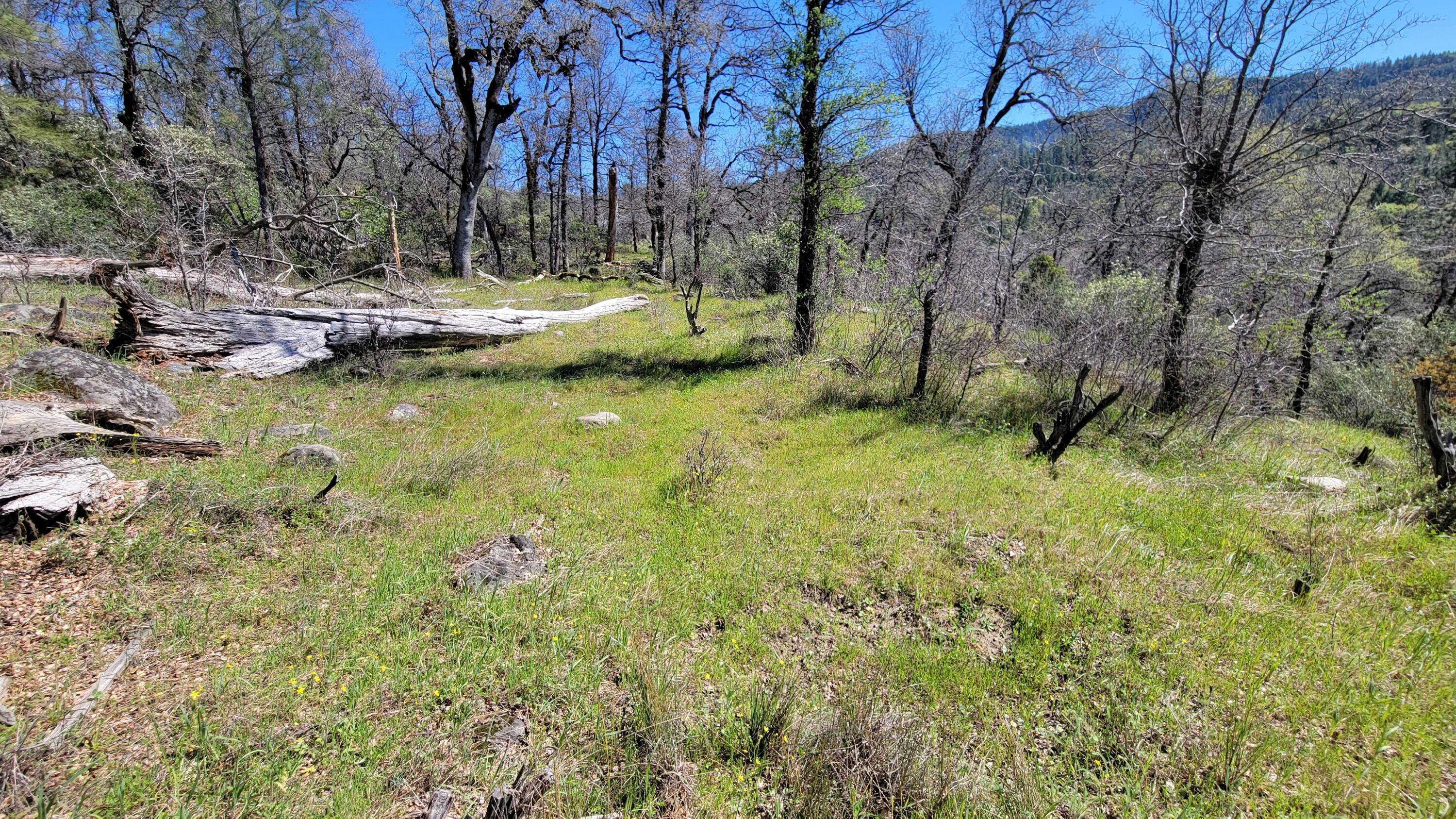 0 Jacey's Tract Road Oak Run, CA 96069 - Photo 28 of 35 20260317_125939