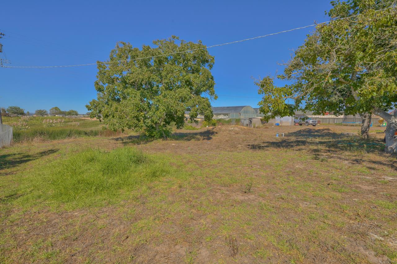 14485 Russo Road Castroville, CA 95012 - Photo 50 of 55 a view of a yard with a house