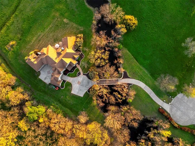 a view of a flower in a garden