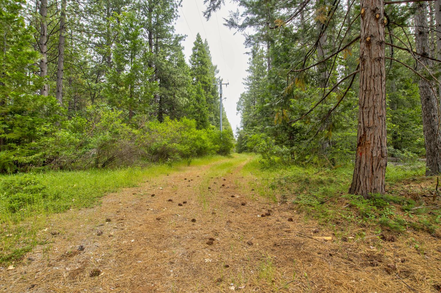 26270 Foresthill Road Foresthill, CA 95631 - Photo 45 of 54