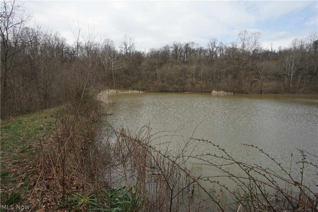 56835 Stephens Road Jacobsburg, OH 43933 - Photo 40 of 50
