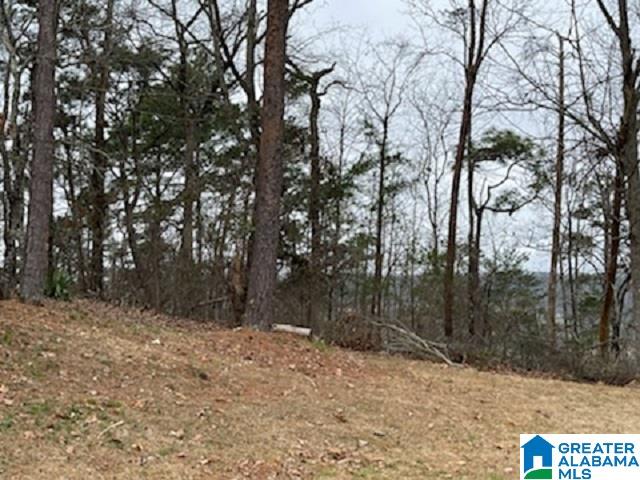 462 Conroy Circle, Unit 710 Sterrett, AL 35147 - Photo 7 of 9