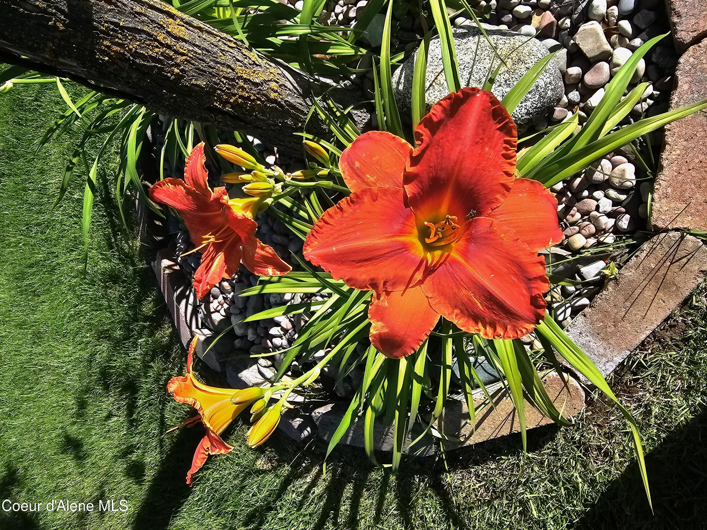 46 Eagle Way Blanchard, ID 83804 - Photo 4 of 11 1724070203971626132