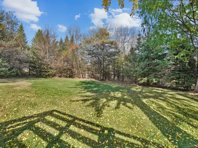 a view of a yard with a tree