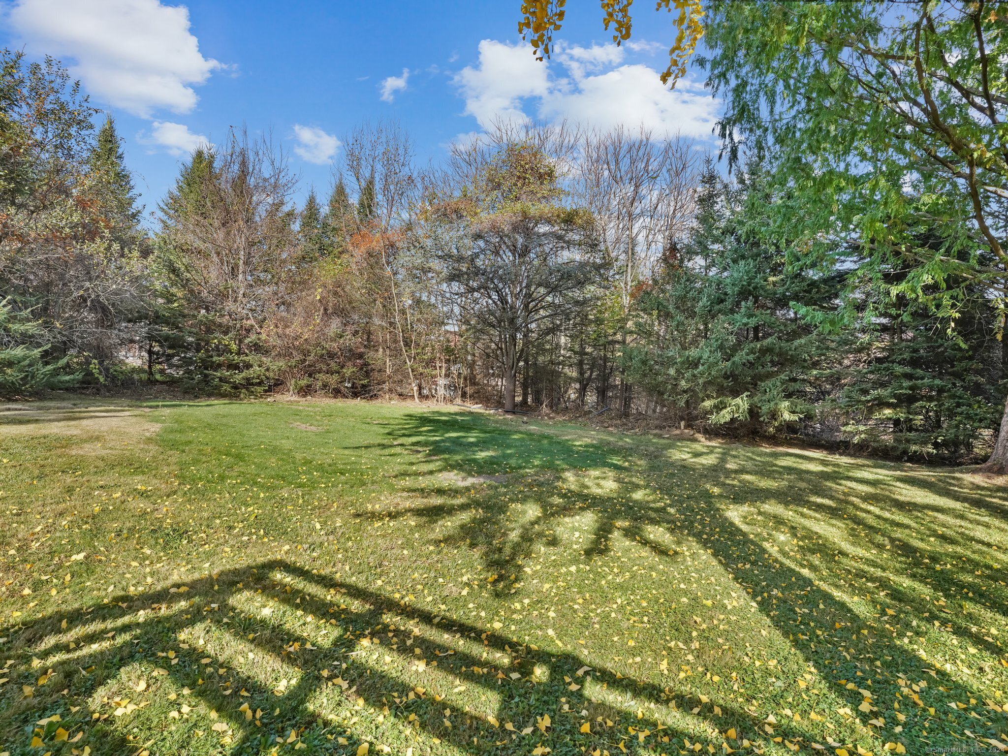 488 Sport Hill Road Easton, CT 06612 - Photo 26 of 32 a view of a yard with a tree