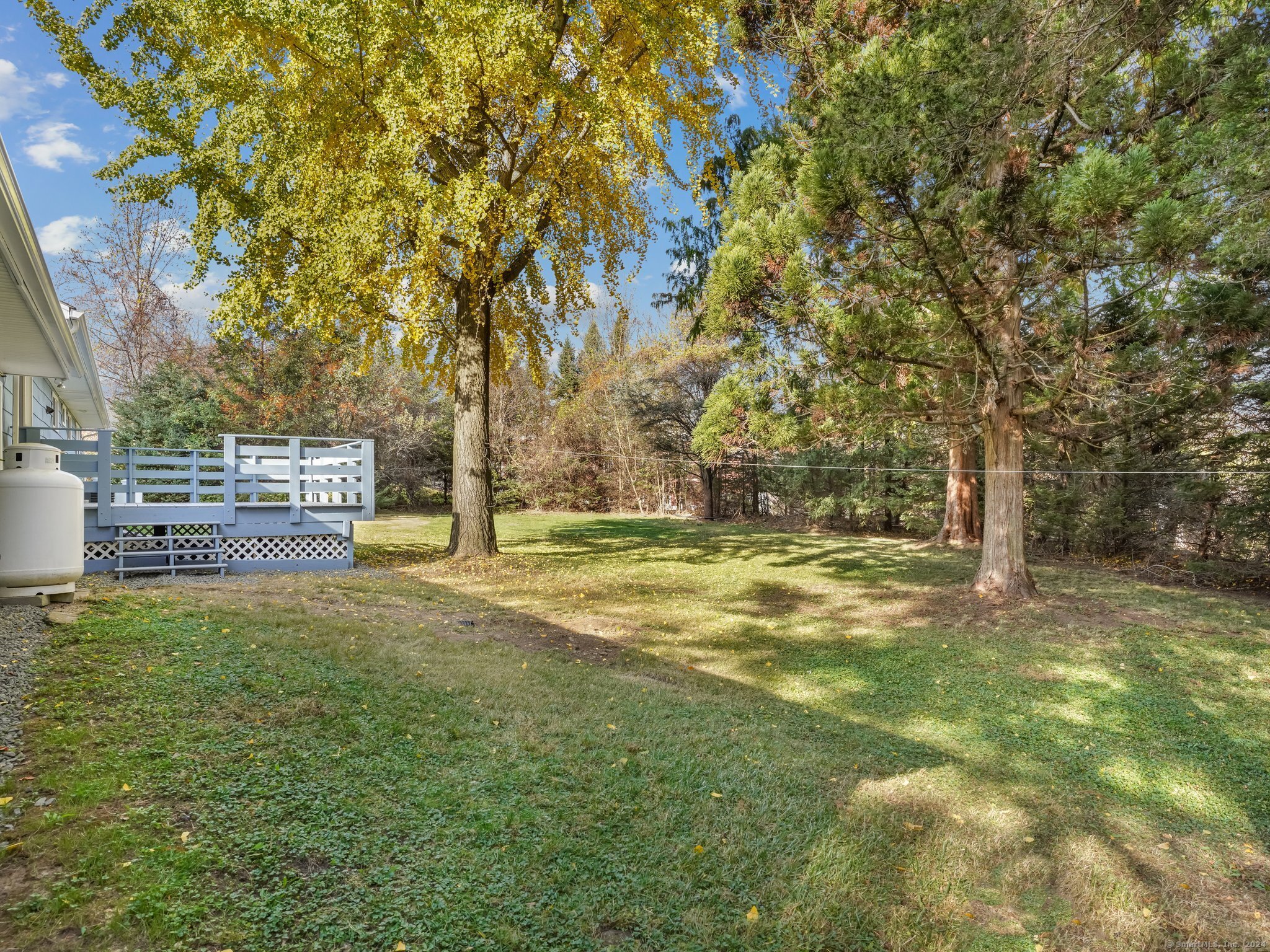 488 Sport Hill Road Easton, CT 06612 - Photo 28 of 32 a view of yard with tree