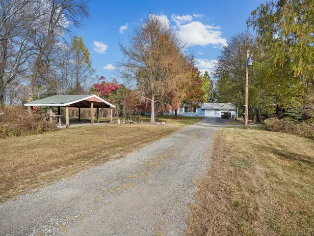 a view of a town with large trees