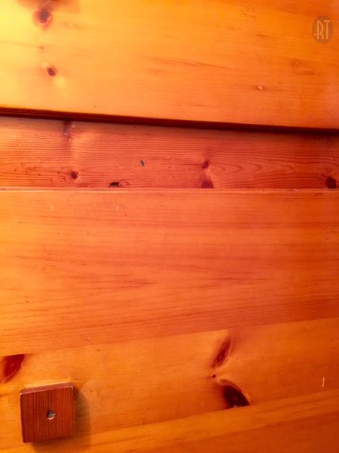128 East Campbell Road Madison, TN 37115 - Photo 17 of 26 Close up picture of the built-ins showing the quality and condition of the wood.