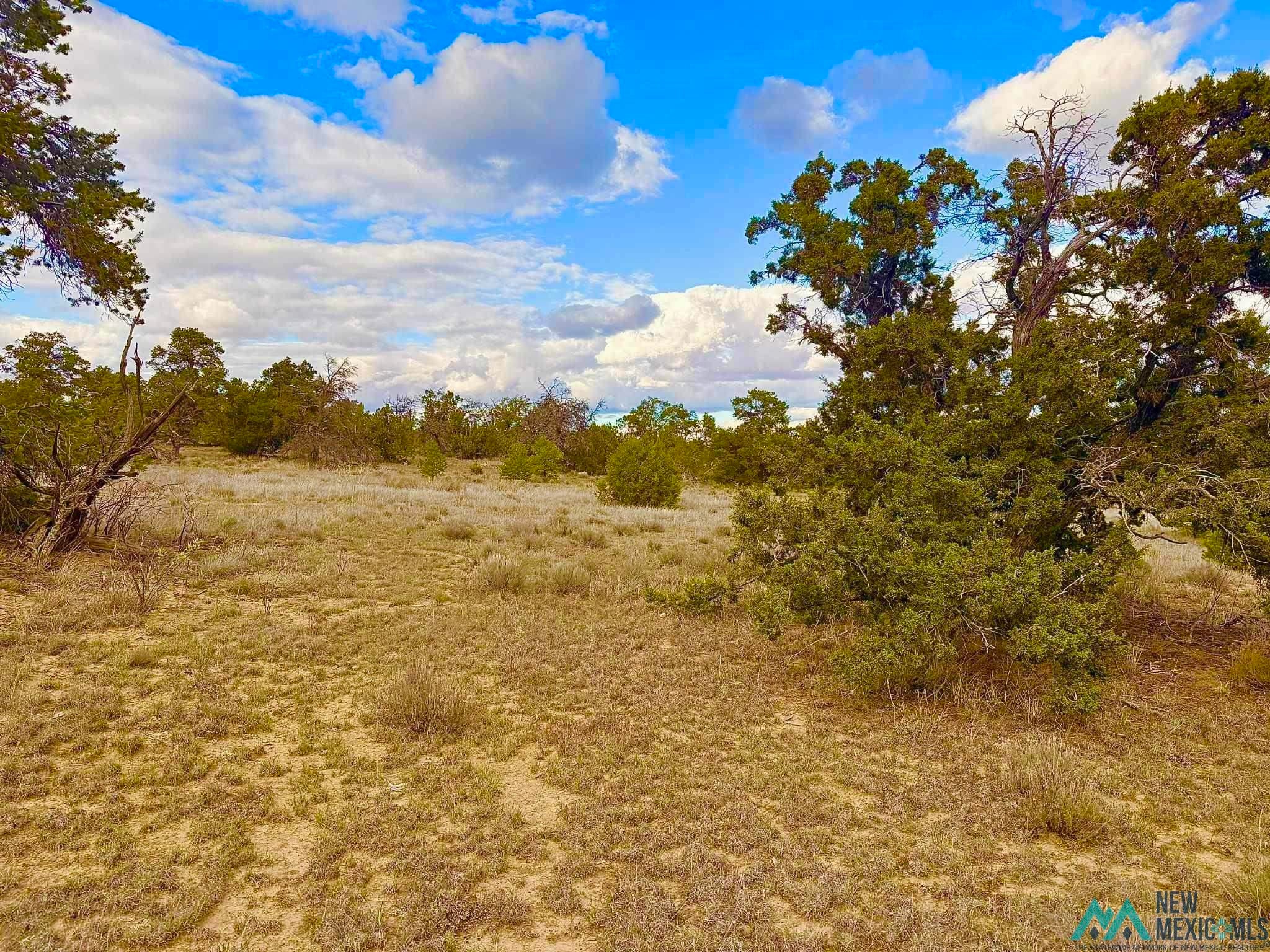 98 Great White Father Road Ramah, NM 87357 - Photo 14 of 16