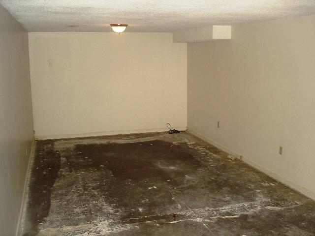 315 Robin Hood Road Bassett, VA 24055 - Photo 3 of 17 Basement(3)