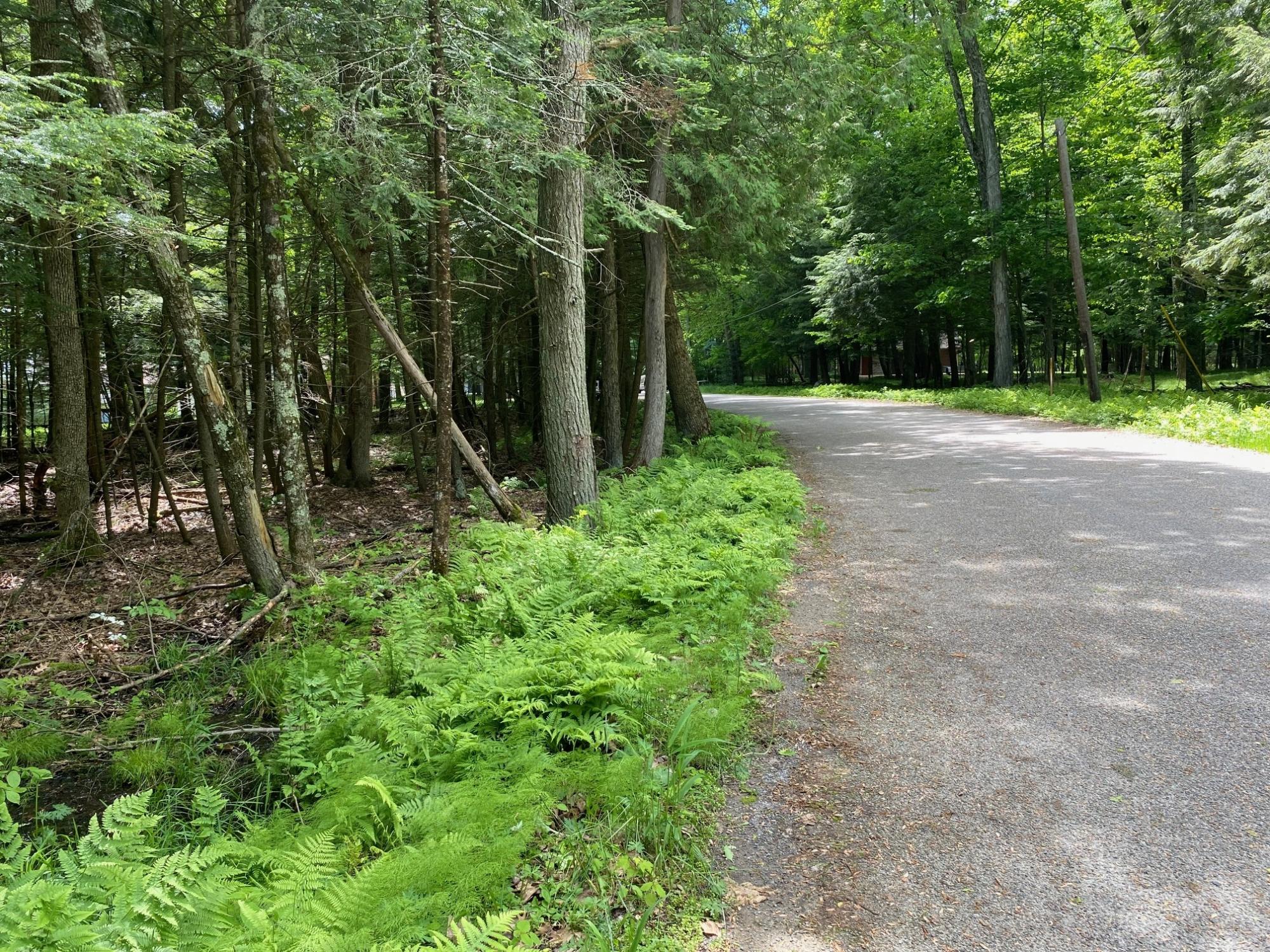 On Sabinois Point Road Pelican Lake, WI 54463 - Photo 15 of 19 Gallery Image 15