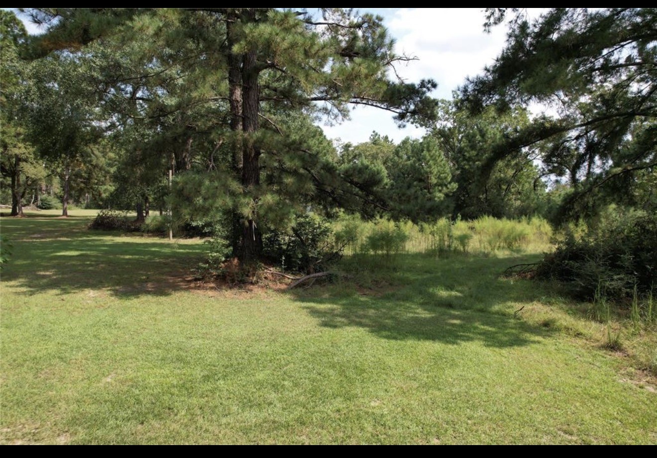 4.3 Lacy 3 Road Groveton, TX 75845 - Photo 1 of 14