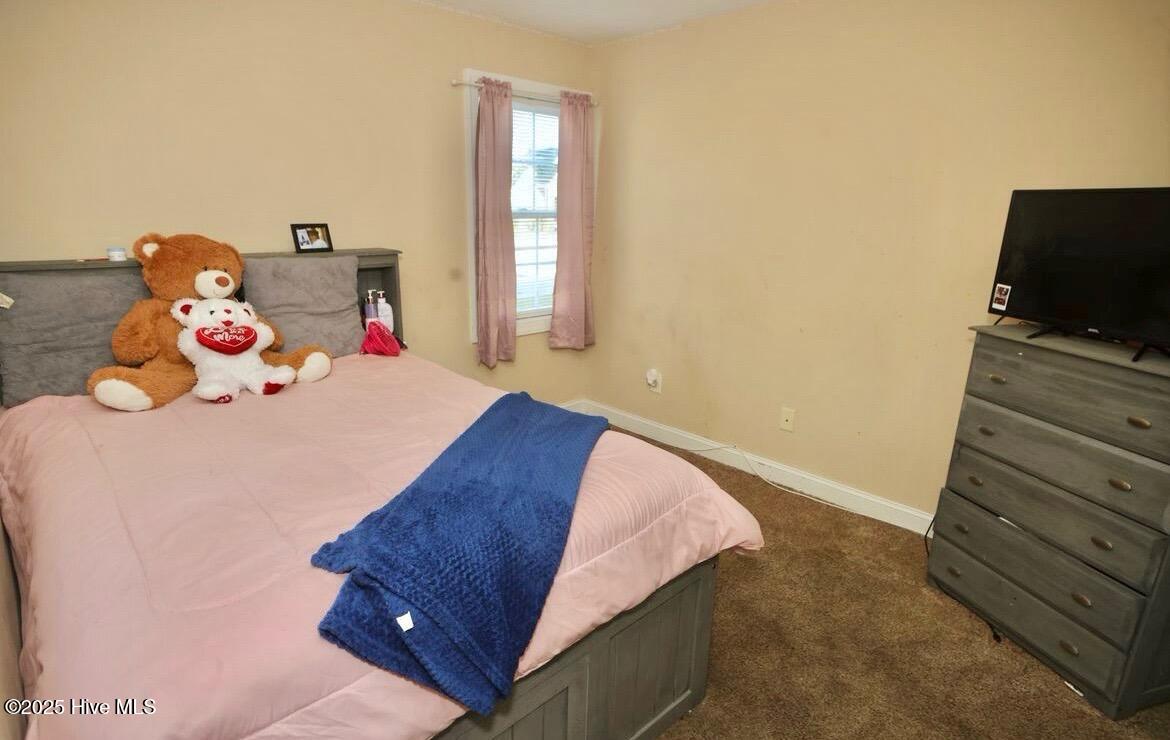 991 Mulberry Road Nashville, NC 27856 - Photo 6 of 11 IMG_6362