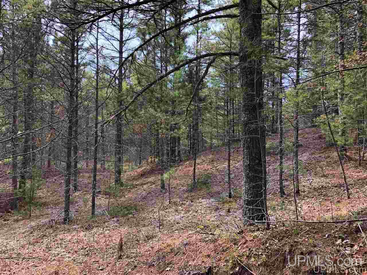 Tbd South Lake Michigan Shores Road Gulliver, MI 49840 - Photo 11 of 13
