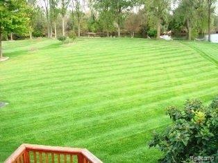 5300 Inverrary Lane Commerce Township, MI 48382 - Photo 3 of 21 backyard
