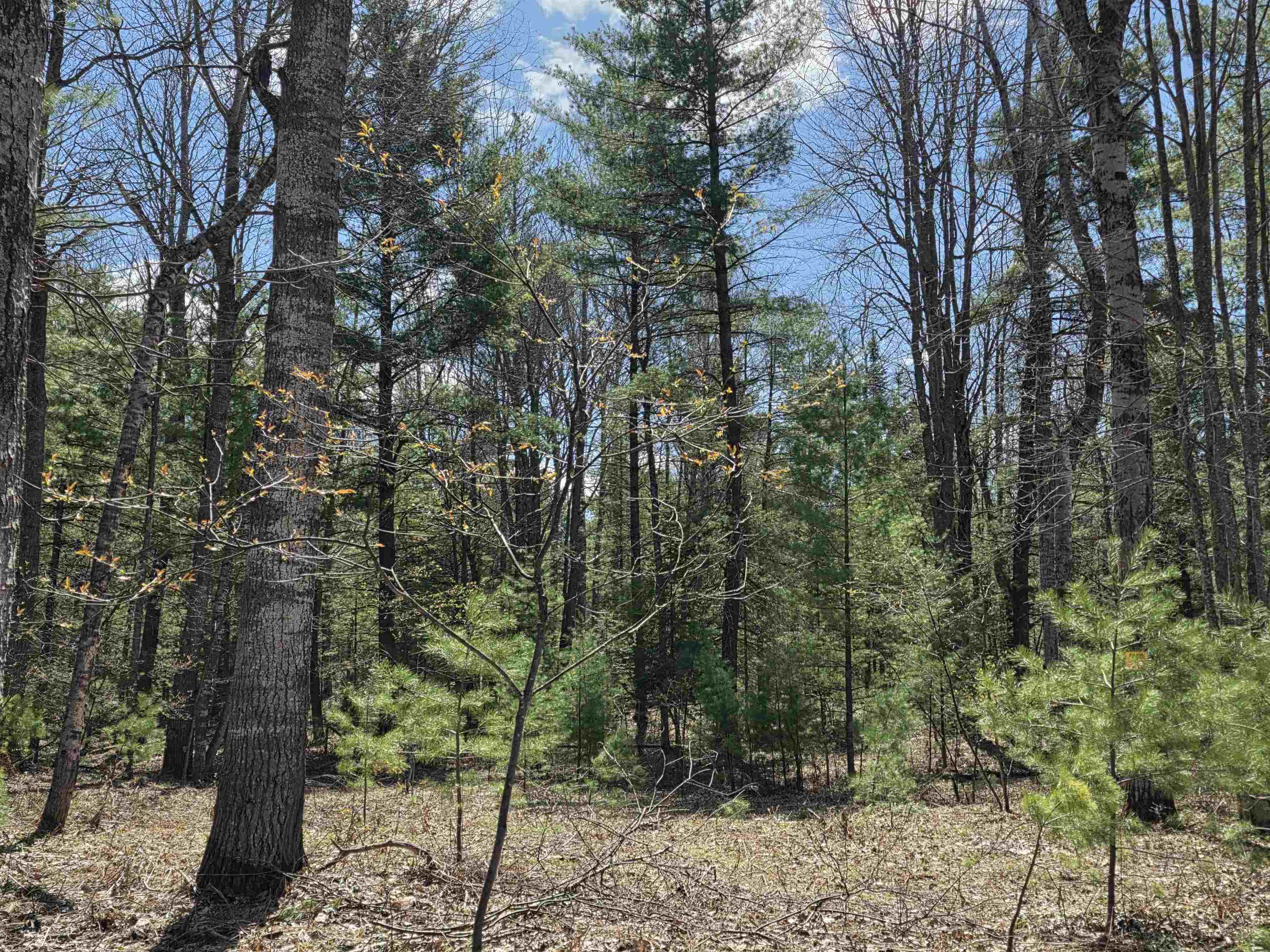 7299 North Truesdale Road Manton, MI 49663 - Photo 46 of 51