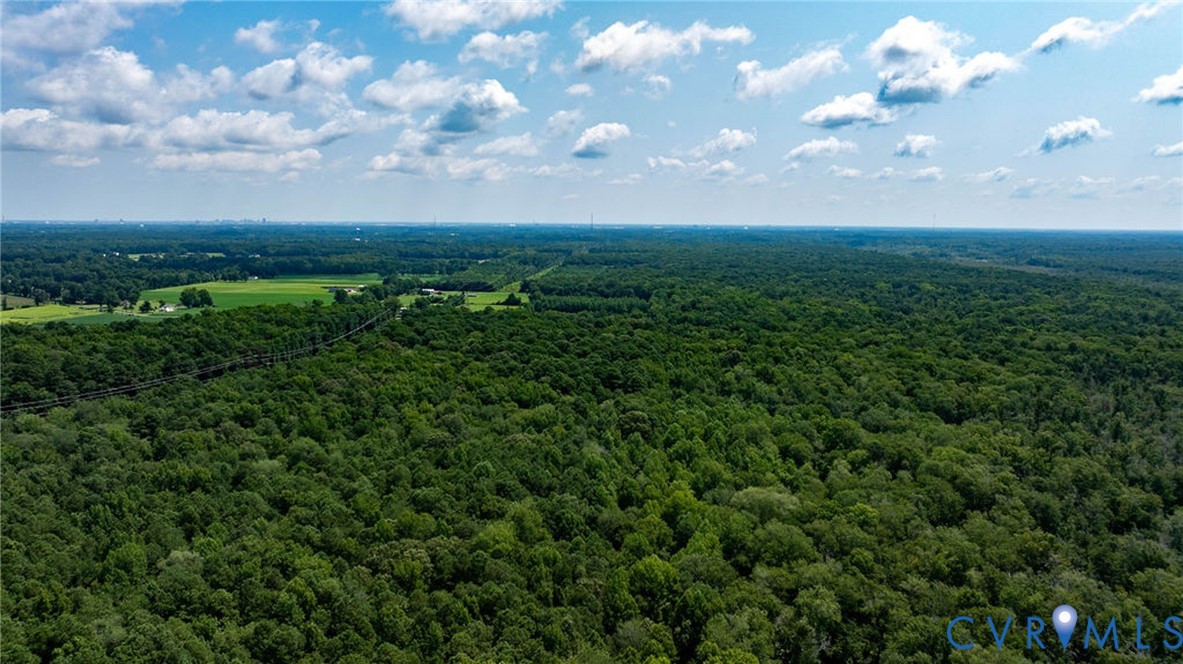 663.8-acres Peach Road Chesapeake, VA 23321 - Photo 16 of 48 Gallery Image 16