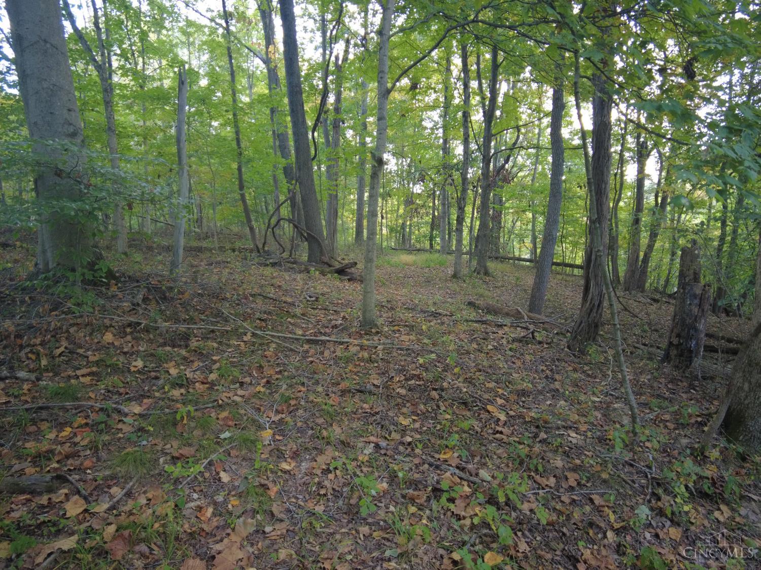 22-ac Richey Road Felicity, OH 45120 - Photo 24 of 30