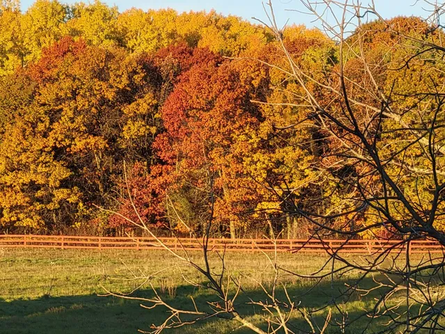 $99,500 | 12049 Firefly Lane Southwest, Brainerd, MN 56401