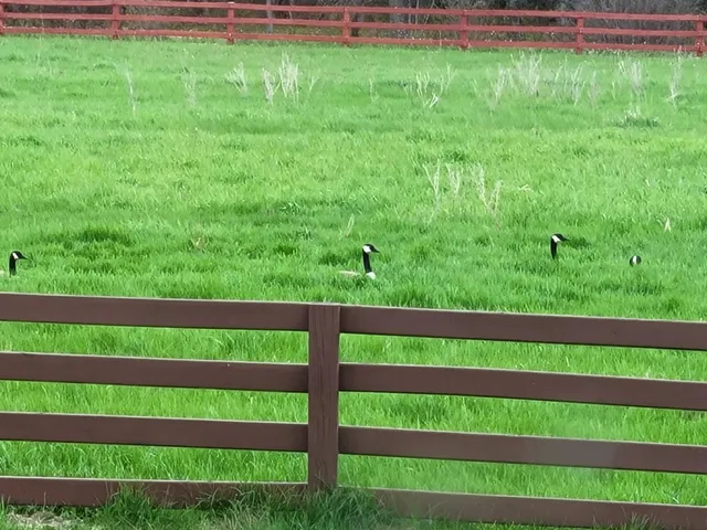 $99,500 | 12049 Firefly Lane Southwest, Brainerd, MN 56401