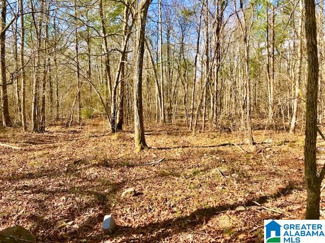 241 Valley Creek Road Piedmont, AL 36272 - Photo 9 of 13