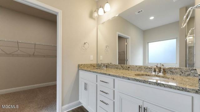 15262 Ridgeview Cove Biloxi, MS 39532 - Photo 19 of 28 Master Vanities - Closet