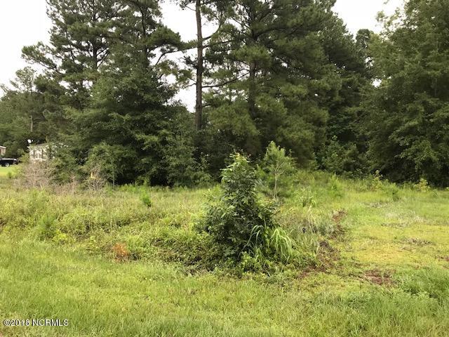 1 Big 4 Road Currie, NC 28435 - Photo 1 of 5 Lot 1 Big Four Rd