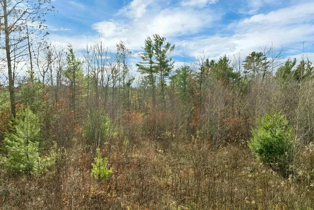 $139,999 | 7 Lady Slipper Lane, Center Tuftonboro, NH 03816