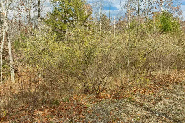 $139,999 | 7 Lady Slipper Lane, Center Tuftonboro, NH 03816