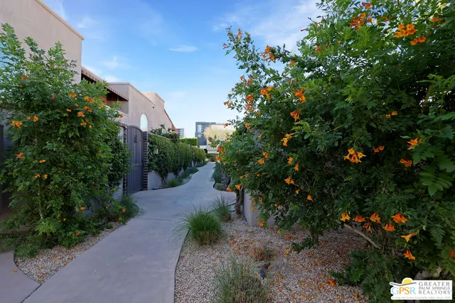a view of a garden with plants