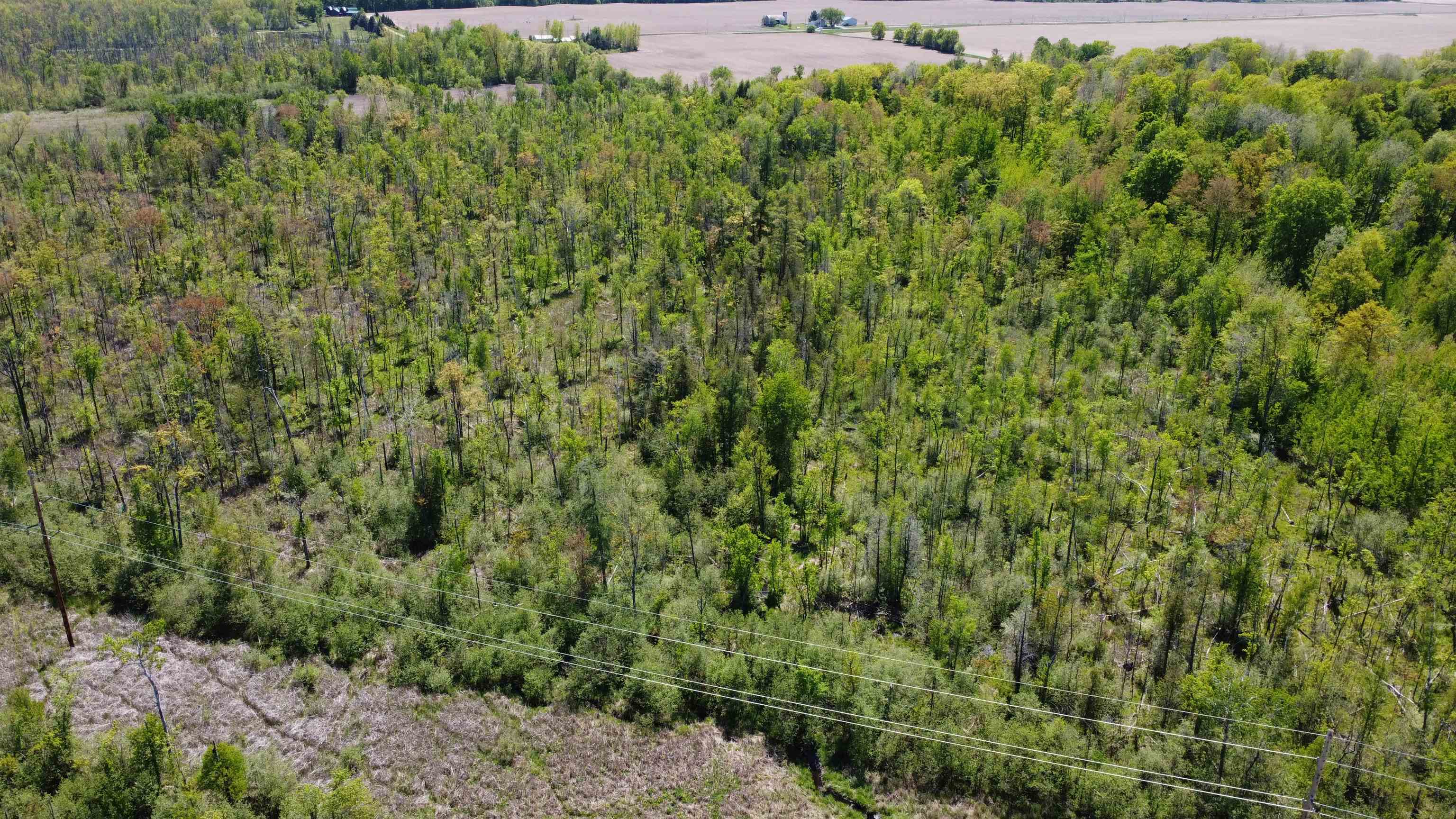 10745 West Remick Road Blanchard, MI 49310 - Photo 36 of 39